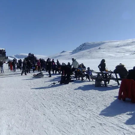 Smuksjoseter * Høvringen