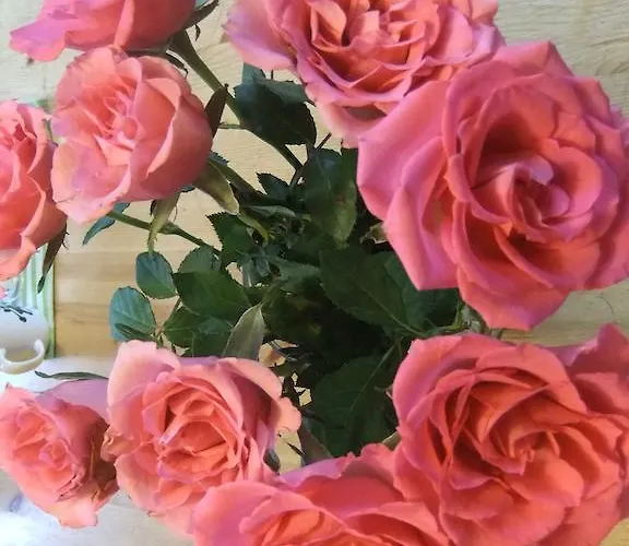 斯穆克斯耶斯特公寓 *