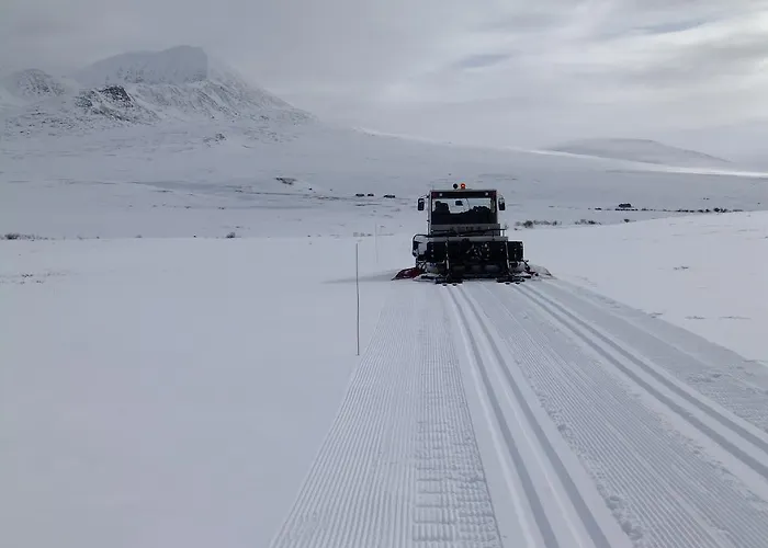 斯穆克斯耶斯特公寓 公寓 霍夫灵恩