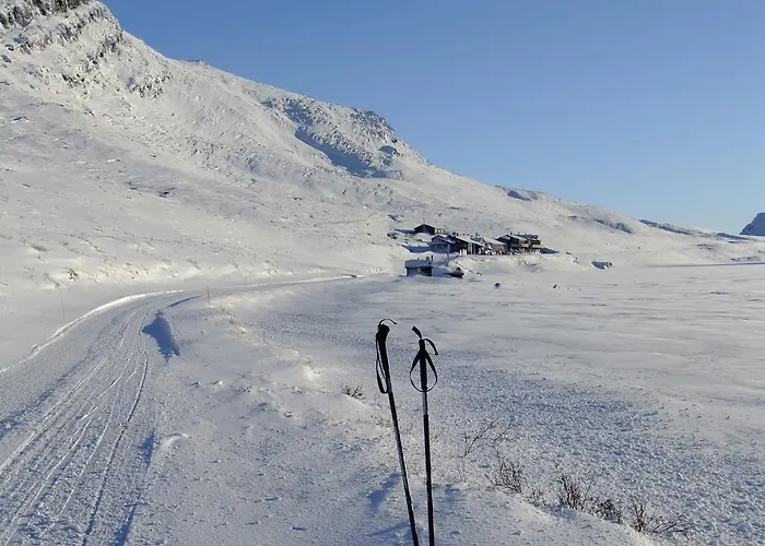 公寓 斯穆克斯耶斯特公寓 霍夫灵恩